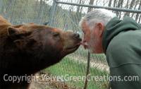 Oswald's Bear Ranch of Newberry, MI is the largest bear only ranch in the Upper Peninsula.