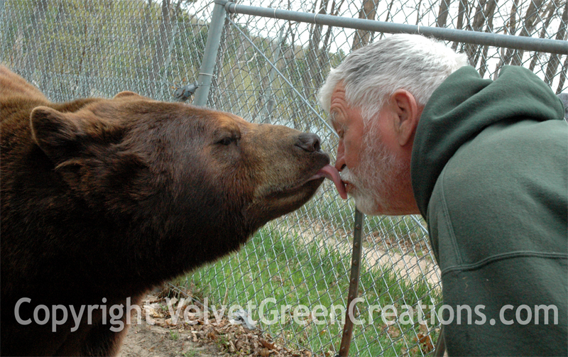 Oswalds Bear Ranch