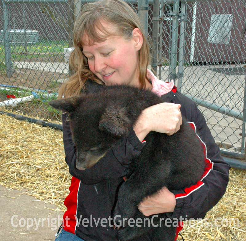 Oswald's Bear Ranch